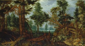 Woods myrskyn jälkeen